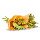 Kytice tulipánů
